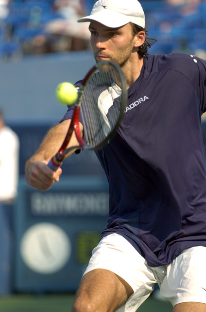 Ivo Karlovic