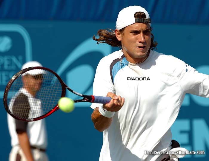 Tennis - David Ferrer